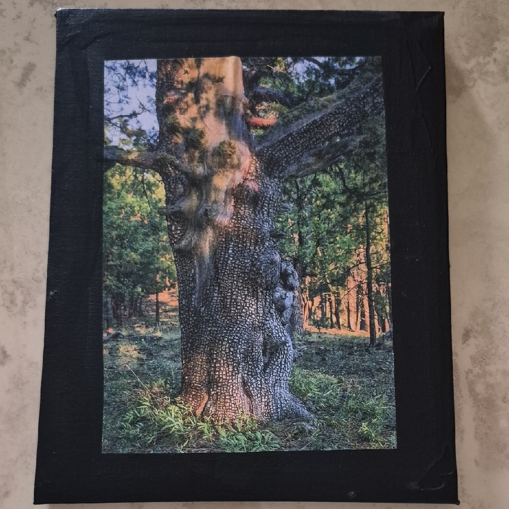 Tree Canvas Wall Art